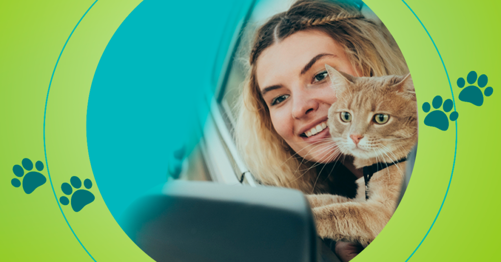 Vai viajar de carro com seu pet? saiba os cuidados que deve tomar.