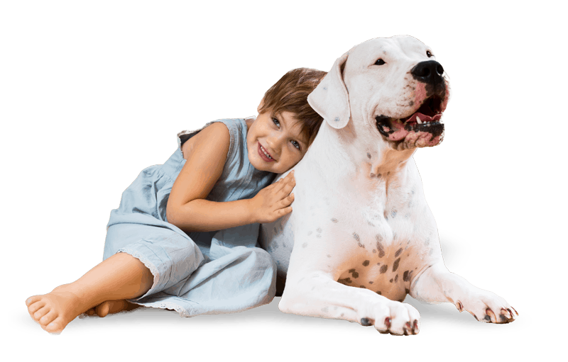 Pet Center 22